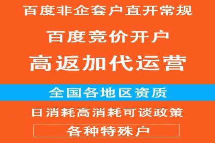 百度优化推广案例：关键词优化与SEO策略